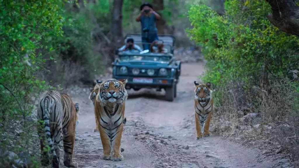 jim-corbett-1