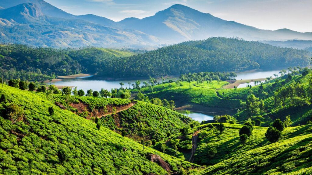 munnar-1