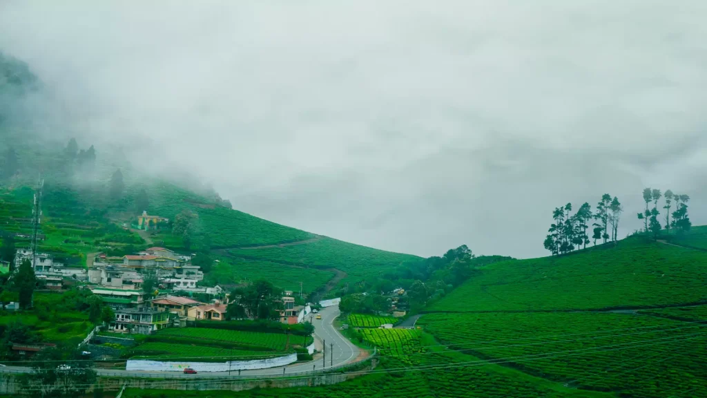 ooty-1