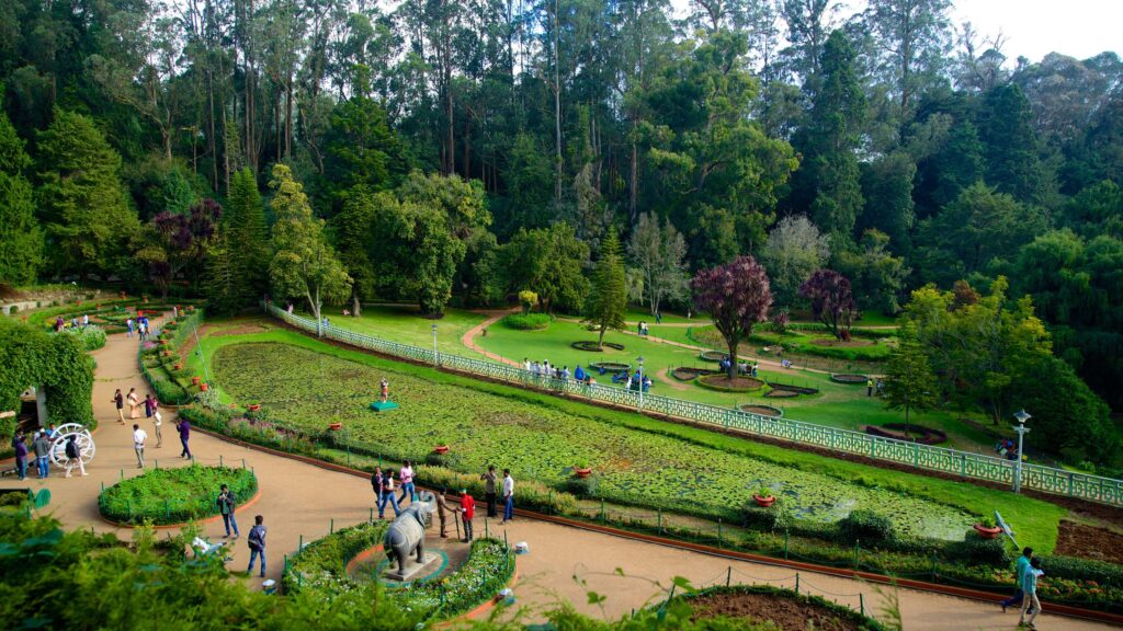 ooty-2